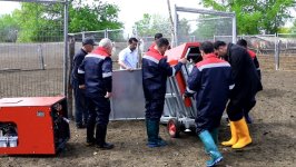 Azərbaycanda qoyunlar xüsusi qurğularda çimizdiriləcək (FOTO)