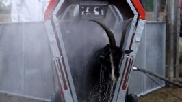 Azərbaycanda qoyunlar xüsusi qurğularda çimizdiriləcək (FOTO)