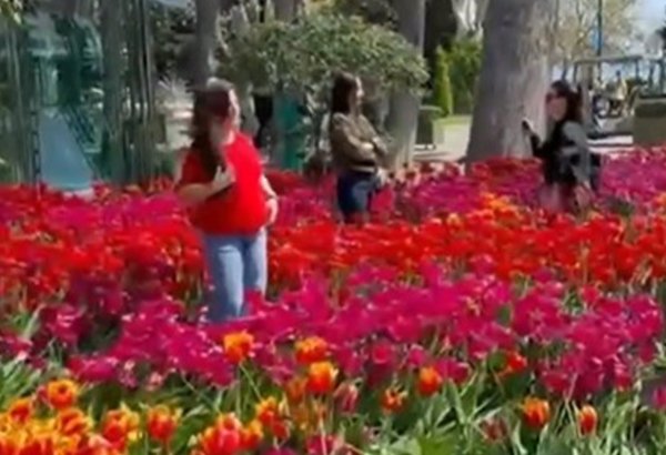 Bulvarda gülləri əzənlər polisə çağırıldı (VİDEO)