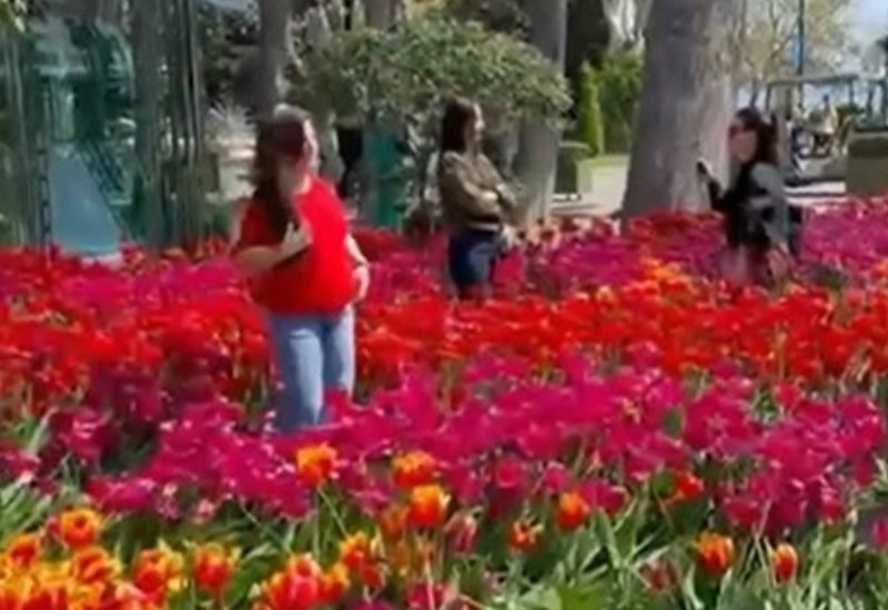Bulvarda gülləri əzənlər polisə çağırıldı (VİDEO)