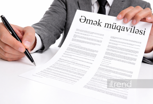 Naxçıvanda canlanan əmək bazarı: Rəqəmlər nə deyir?