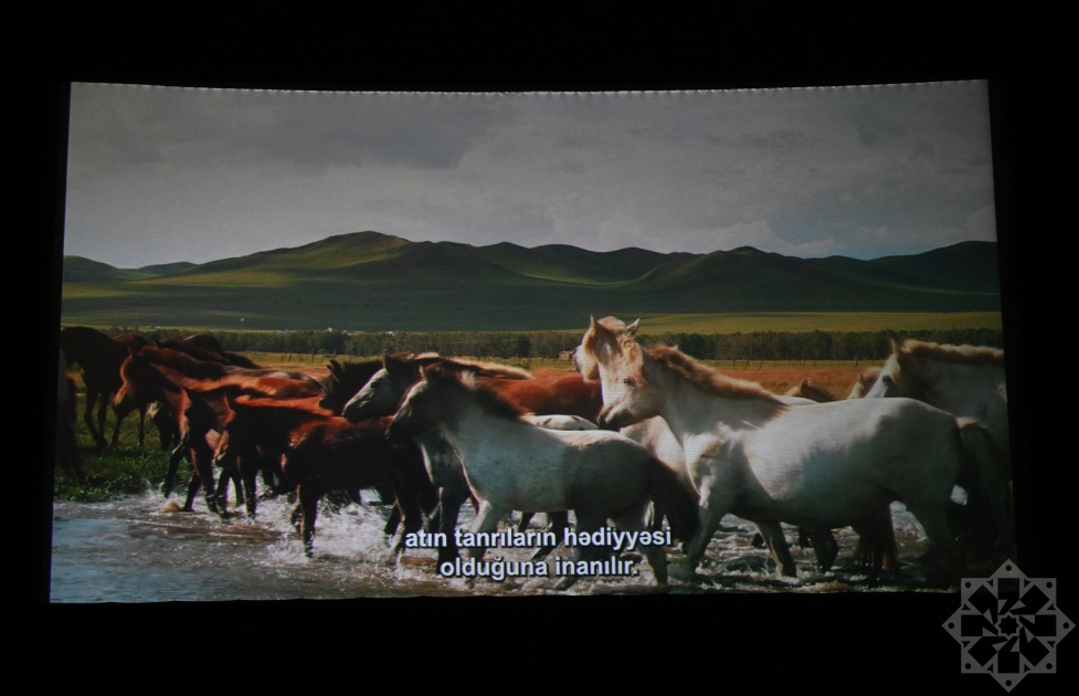 Nizami Kino Mərkəzində “At gücü” sənədli filmi təqdim olunub (FOTO)