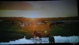 Nizami Kino Mərkəzində “At gücü” sənədli filmi təqdim olunub (FOTO)