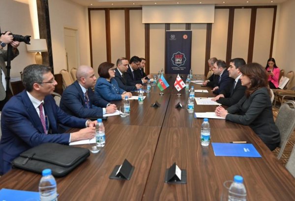 Milli Məclisin sədri Sahibə Qafarova Gürcüstan parlamentinin sədri ilə görüşüb (FOTO)