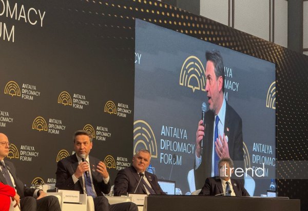 Cənub Qaz Dəhlizindən tam şəkildə istifadə olunmalıdır - Alparslan Bayraktar