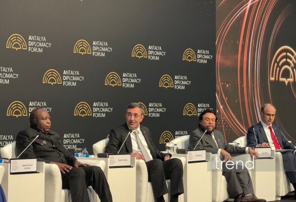 Qlobal sistemdə islahatlar aparmaq və praktiki regional əməkdaşlığın inkişafı üzərində işləmək lazımdır - Cevdet Yılmaz