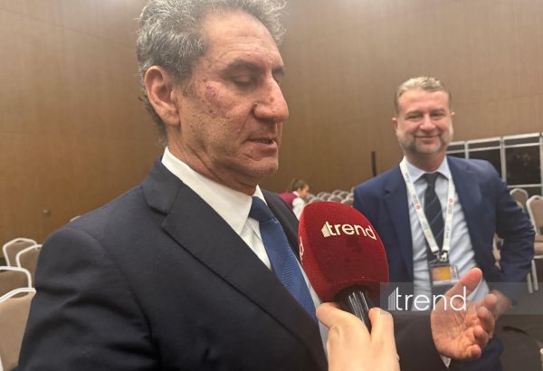 Bakıda keçiriləcək İnvestisiya Forumu regiondakı layihələrin maliyyələşdirilməsi üçün əsas platforma olacaq - IRENA (ÖZƏL)