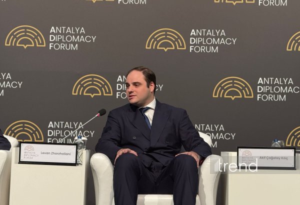 Cənubi Qafqaz ölkələri arasında iqtisadi əməkdaşlıq son dərəcə vacibdir — Levan Jorjolianı