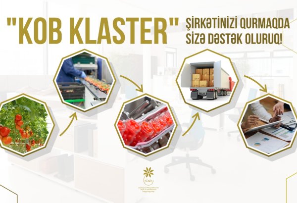 Klasterləşmə – sahibkarlar üçün imkanlar və perspektivlər (FOTO)