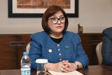 Milli Məclisin sədri Sahibə Qafarova Gürcüstan parlamentinin sədri ilə görüşüb (FOTO)