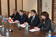 Milli Məclisin sədri Sahibə Qafarova Gürcüstan parlamentinin sədri ilə görüşüb (FOTO)