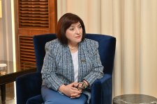 Milli Məclisin sədri Sahibə Qafarova Venesuela Parlamentinin vitse-spikeri ilə görüşüb (FOTO)