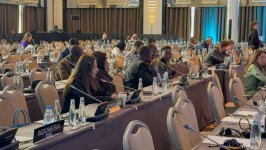 Azərbaycan kibertəhdidlərə qarşı effektiv mübarizə aparır - Deputat (FOTO)