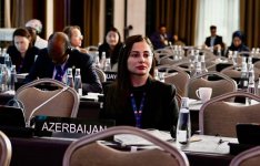 Azərbaycan kibertəhdidlərə qarşı effektiv mübarizə aparır - Deputat (FOTO)