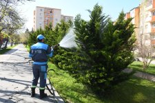 Bu gün paytaxtda 556 küçə yuyulub (FOTO)