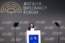 Birinci xanım Mehriban Əliyeva Antalyada “Fələstində sülh naminə birləşərək: Təhsil sisteminin məhv edilməsi ilə mübarizə və gələcəyin qorunması” adlı paneldə iştirak edib (FOTO)