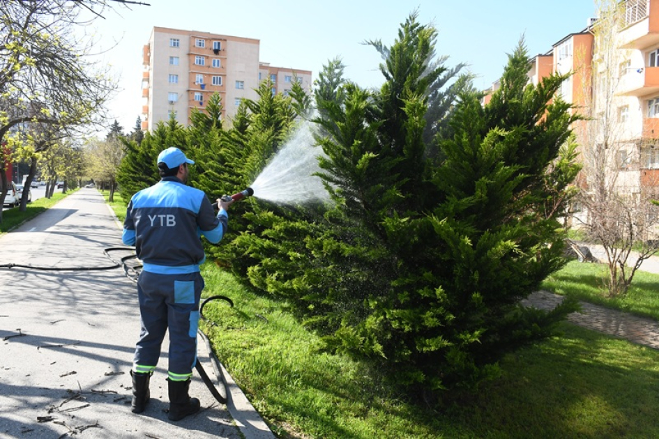 Bu gün paytaxtda 556 küçə yuyulub (FOTO)