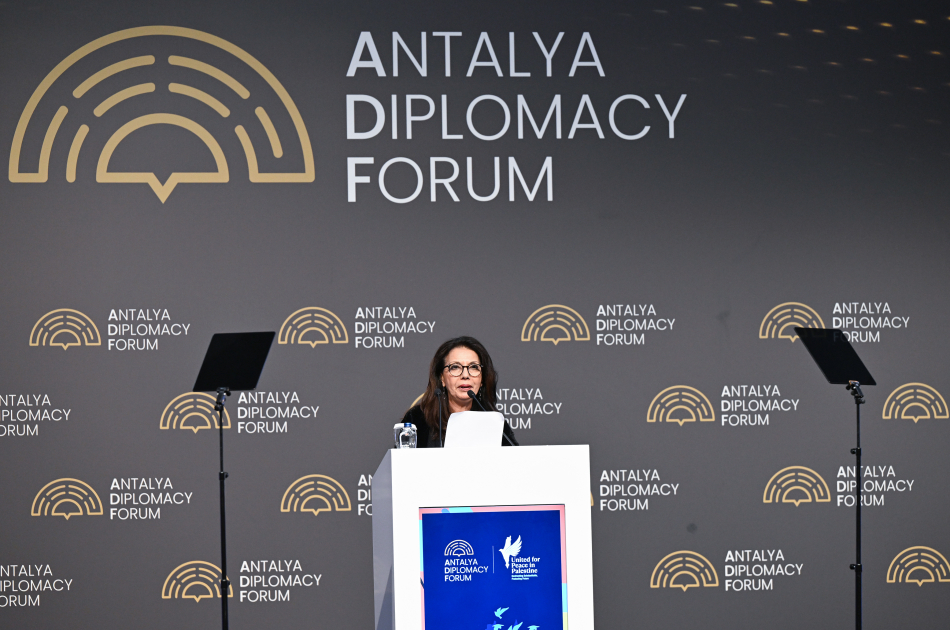 Birinci xanım Mehriban Əliyeva Antalyada “Fələstində sülh naminə birləşərək: Təhsil sisteminin məhv edilməsi ilə mübarizə və gələcəyin qorunması” adlı paneldə iştirak edib (FOTO)