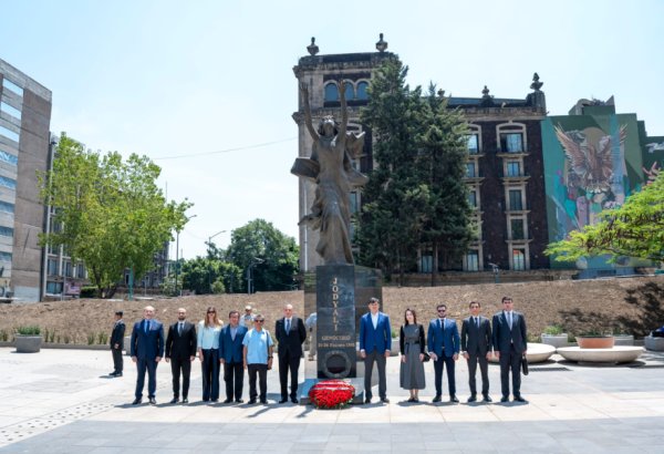 Dünya azərbaycanlıları müxtəlif beynəlxalq platformalarda ölkəmizi layiqincə təmsil edirlər - Komitə sədri (FOTO)