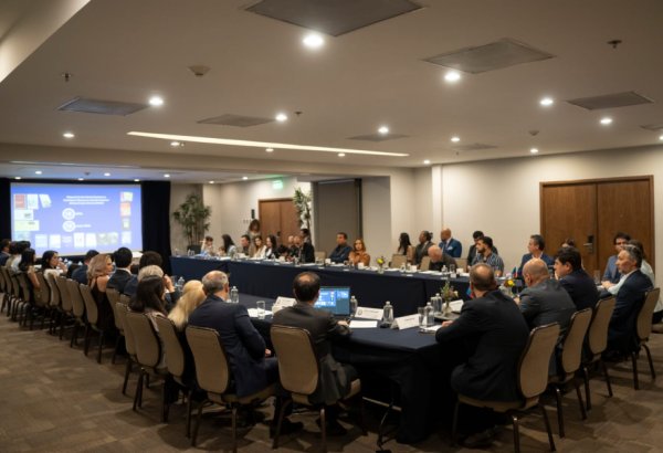 Dünya azərbaycanlıları müxtəlif beynəlxalq platformalarda ölkəmizi layiqincə təmsil edirlər - Komitə sədri (FOTO)