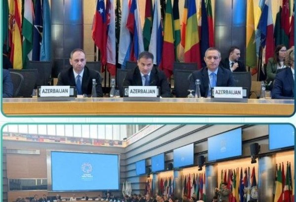 Azərbaycan DB və BVF ilə makroiqtisadi çağırışları müzakirə edib