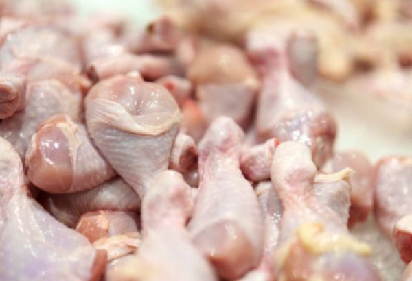 Azərbaycana gətirilən toyuq məhsulunda bakteriya tapıldı