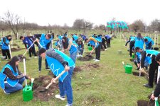 Gədəbəyin Şahdağ kəndində 6500-dən çox ağac əkilib (FOTO)