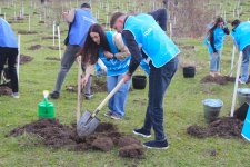 Gədəbəyin Şahdağ kəndində 6500-dən çox ağac əkilib (FOTO)