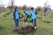 Gədəbəyin Şahdağ kəndində 6500-dən çox ağac əkilib (FOTO)