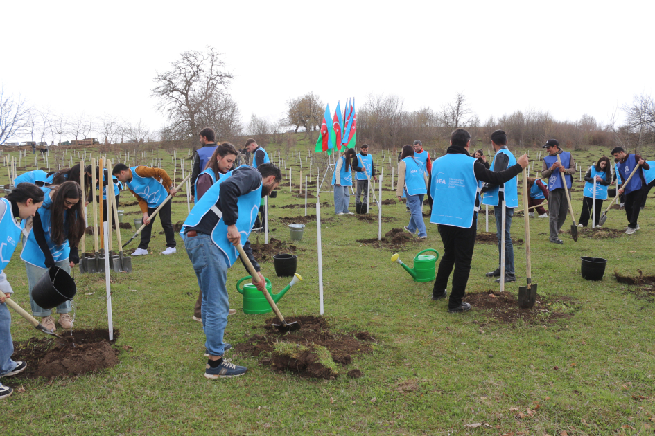 Gədəbəyin Şahdağ kəndində 6500-dən çox ağac əkilib (FOTO)