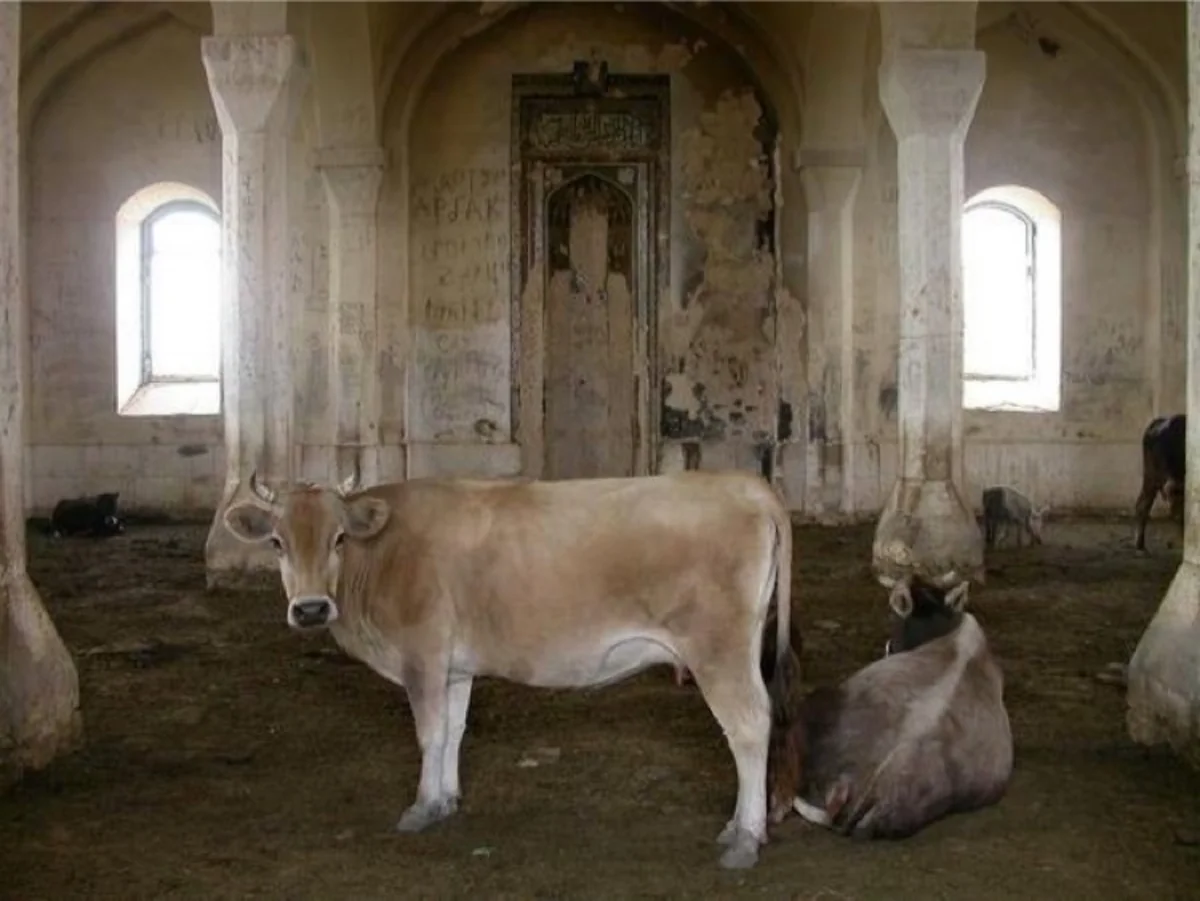 Mədəni yaddaşın hədəfə alınması və tarixi reallıqlar: Ermənistanın dağıntı siyasəti fonunda Azərbaycanın əsaslandırılmış mövqeyi (FOTO)
