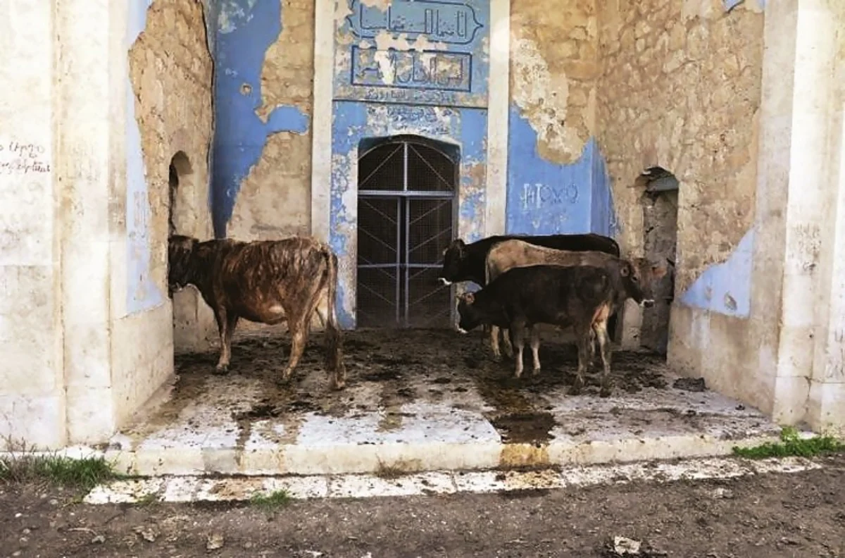 Mədəni yaddaşın hədəfə alınması və tarixi reallıqlar: Ermənistanın dağıntı siyasəti fonunda Azərbaycanın əsaslandırılmış mövqeyi (FOTO)