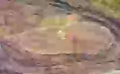 Türkiyədə Nuhun gəmisinin qalıqlarının tapıldığı iddia olunur (FOTO)