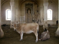 Mədəni yaddaşın hədəfə alınması və tarixi reallıqlar: Ermənistanın dağıntı siyasəti fonunda Azərbaycanın əsaslandırılmış mövqeyi (FOTO)