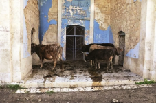 Mədəni yaddaşın hədəfə alınması və tarixi reallıqlar: Ermənistanın dağıntı siyasəti fonunda Azərbaycanın əsaslandırılmış mövqeyi (FOTO)