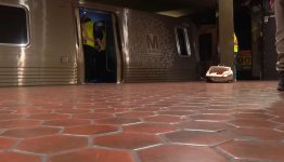 Vaşinqtonda metroda qəza - Çoxlu yaralı var (FOTO)