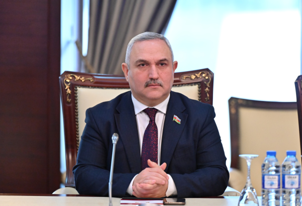 Sosial platformaların uşaqlara təsiri ilə bağlı həyəcan təbili çalınır - Deputat