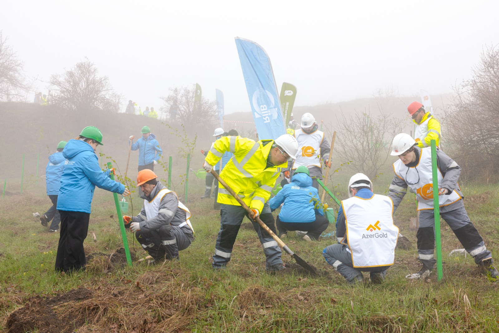 Daşkəsən rayonunda silsilə ağacəkmə aksiyaları keçirilib (FOTO)