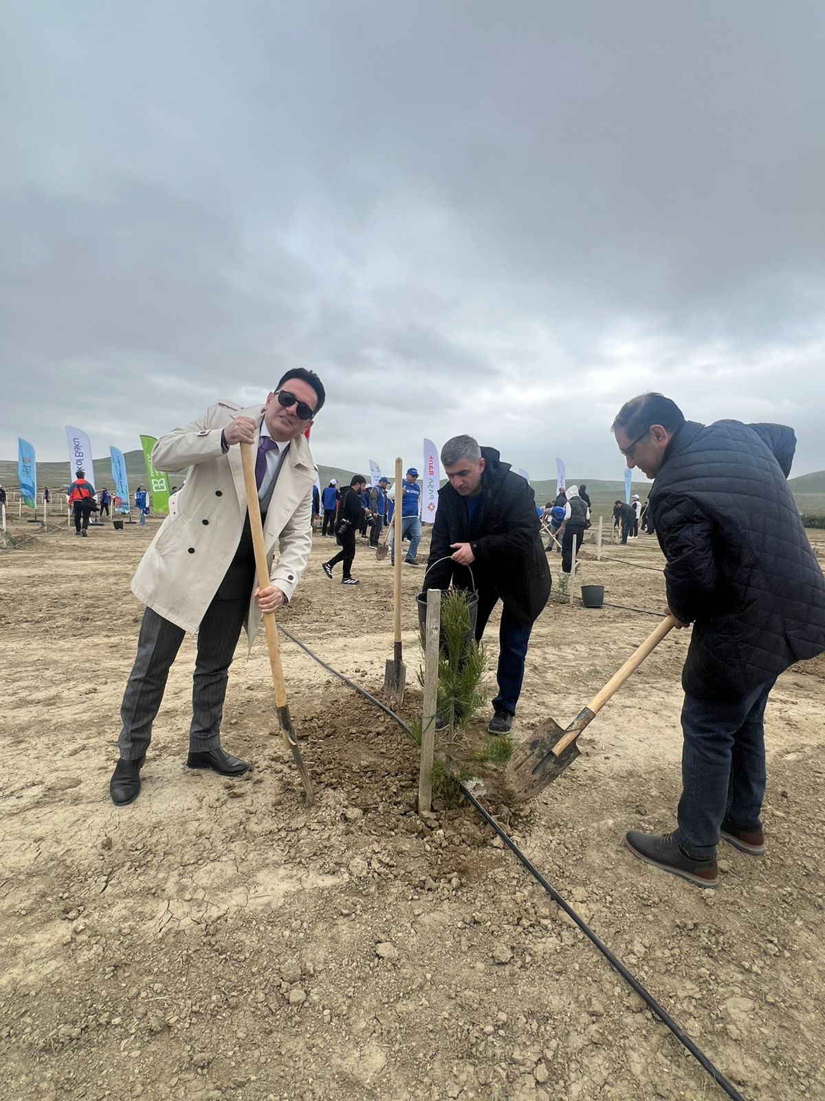 Maliyyə sektorundan və ABA-dan yaşıl gələcəyə növbəti töhfə: 1 milyon ağac hədəfinə doğru (FOTO)