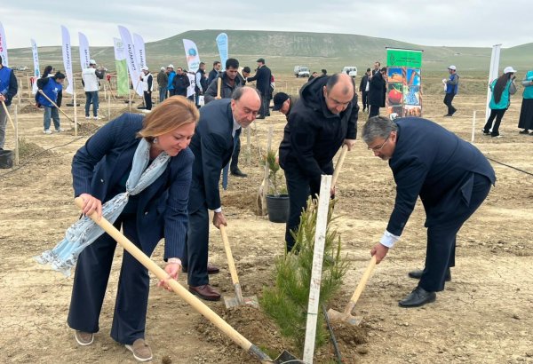 Maliyyə sektorundan və ABA-dan yaşıl gələcəyə növbəti töhfə: 1 milyon ağac hədəfinə doğru (FOTO)