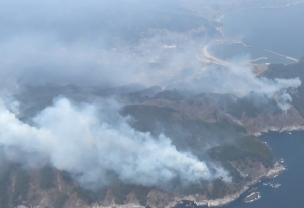 Yaponiyada güclü meşə yanğınları: minlərlə insan təxliyə olunur (FOTO)