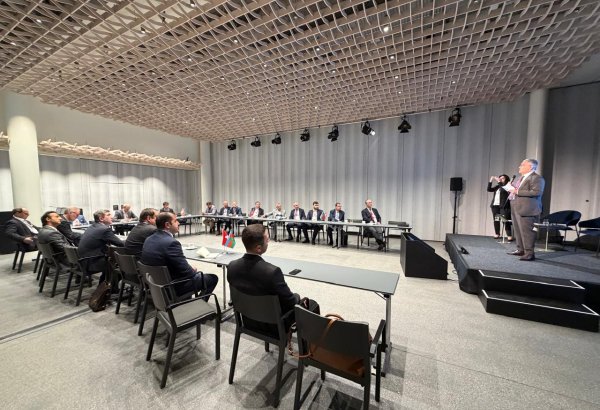 İsveçrədə Azərbaycanın biznes və investisiya potensialı tanıdılıb