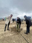 Maliyyə sektorundan və ABA-dan yaşıl gələcəyə növbəti töhfə: 1 milyon ağac hədəfinə doğru (FOTO)