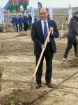 Maliyyə sektorundan və ABA-dan yaşıl gələcəyə növbəti töhfə: 1 milyon ağac hədəfinə doğru (FOTO)