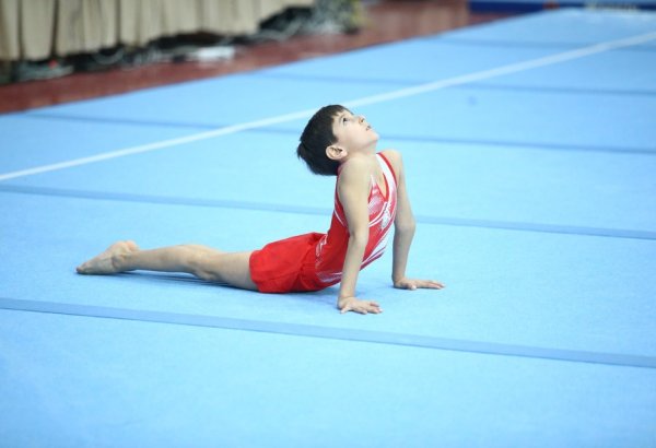 Sumqayıtda idman gimnastikası üzrə ölkə birinciliyi keçirilib (FOTO)