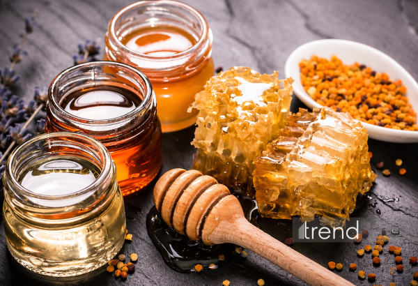 Azərbaycanda bala dair yeni qaydalar hazırlanır