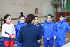 Sumqayıtda idman gimnastikası üzrə ölkə birinciliyi keçirilib (FOTO)