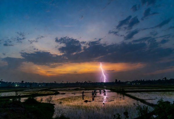Banqladeşdə ildırım səbəbindən azı 14 nəfər həlak olub