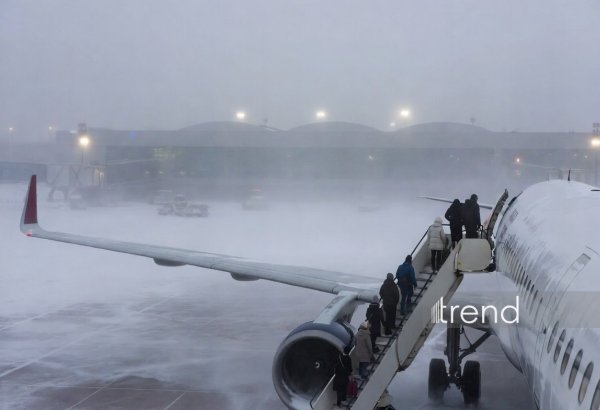 Moskvada hava nəqliyyatı bu səbəbdən iflic olub