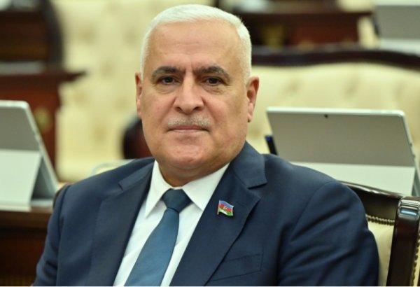 Qalib dövlətin və xalqın gücü: idmanda yeni zirvələr - Vüqar Rəhimzadə